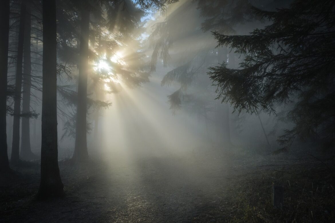 The Fog Of Negativity Will Fade Away Soon