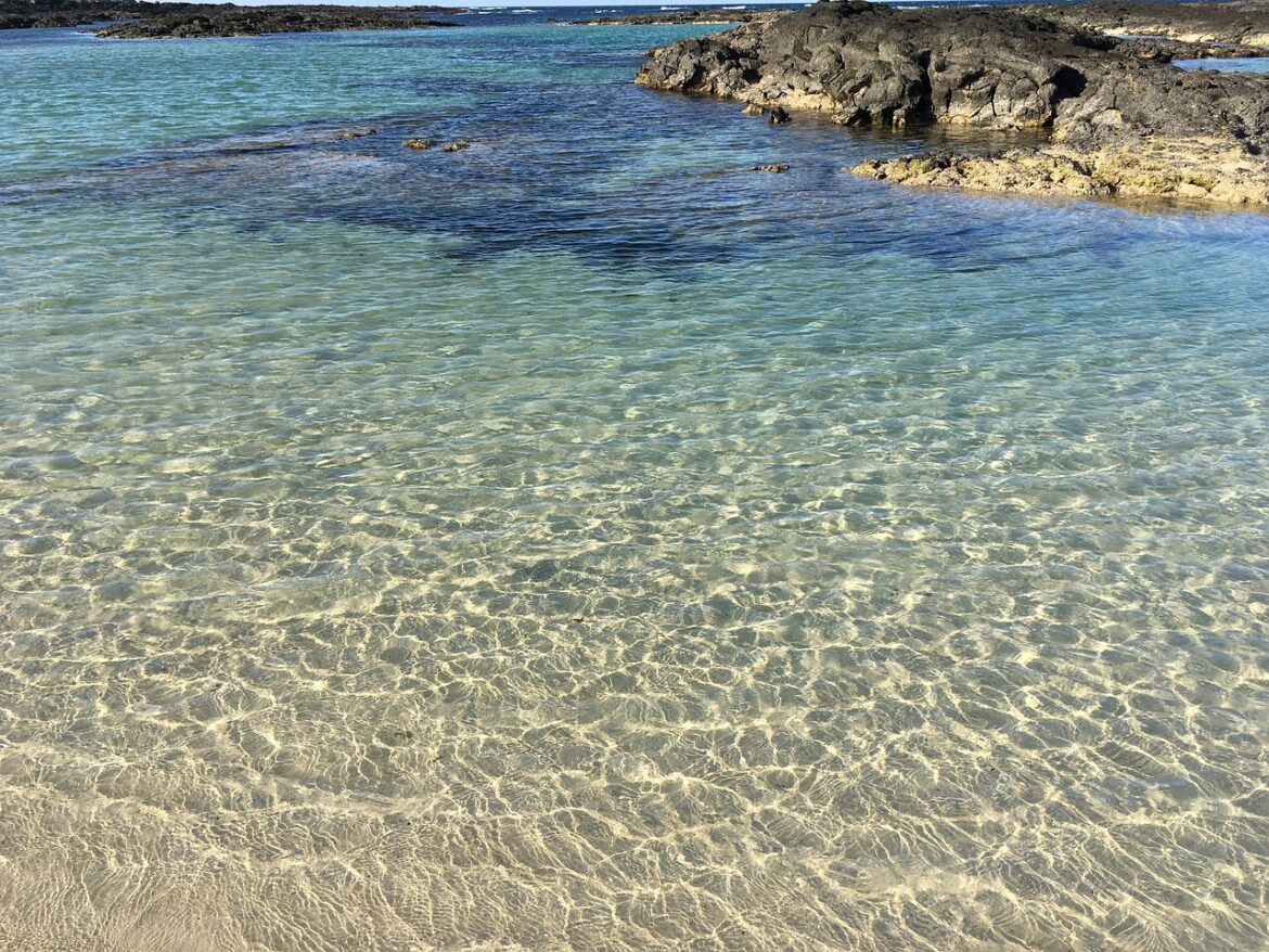 The Island Of Fuerteventura – A Quick Guide