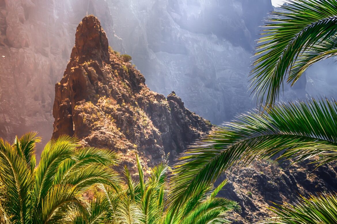 The Canary Islands – A Quick Guide